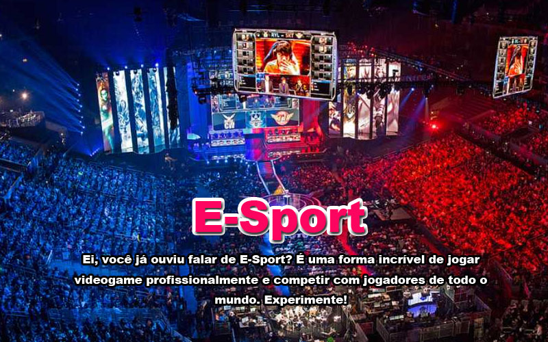 8855bet vip